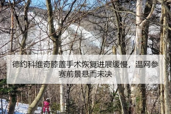 de-yue-ke-wei-qi-xi-gai-shou-shu-hui-fu-jin-zhan-huan-man-wen-wang-can-sai-qian-jing-xuan-er-wei-jue-2-543.jpg