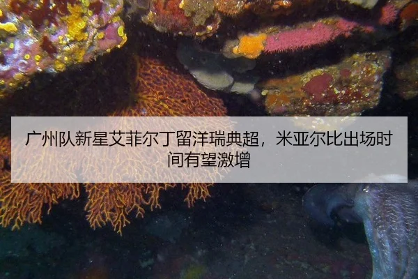 guang-zhou-dui-xin-xing-ai-fei-er-ding-liu-yang-rui-dian-chao-mi-ya-er-bi-chu-chang-shi-jian-you-wang-ji-zeng-3-789.jpg