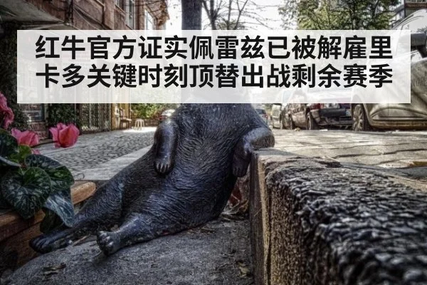 红牛官方证实佩雷兹已被解雇里卡多关键时刻顶替出战剩余赛季