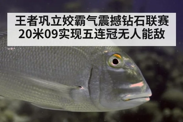 王者巩立姣霸气震撼钻石联赛 20米09实现五连冠无人能敌