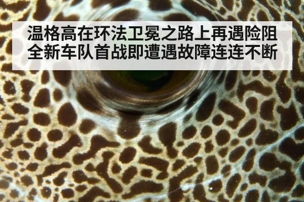 温格高在环法卫冕之路上再遇险阻 全新车队首战即遭遇故障连连不断